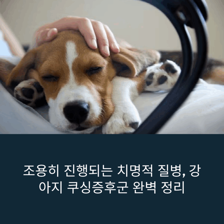 쿠싱증후군